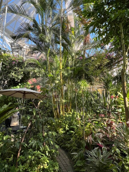 ヤシ的なみなさん