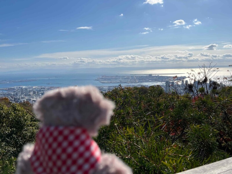 温室の展望デッキより