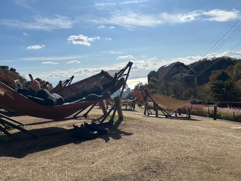 ハンモックでSNS見る人