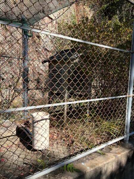 百葉箱ですよ!みなさん!