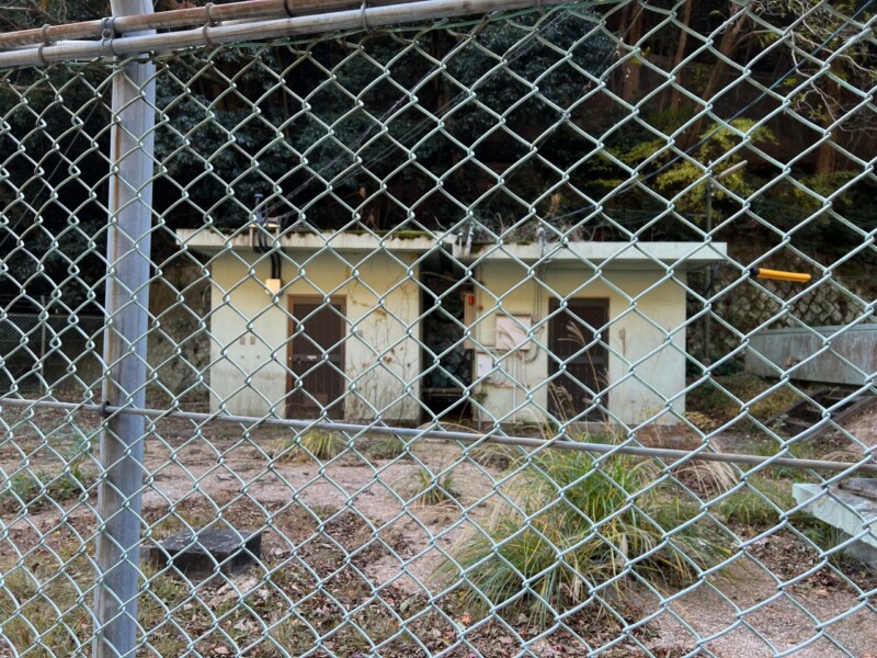 向こうが気になる