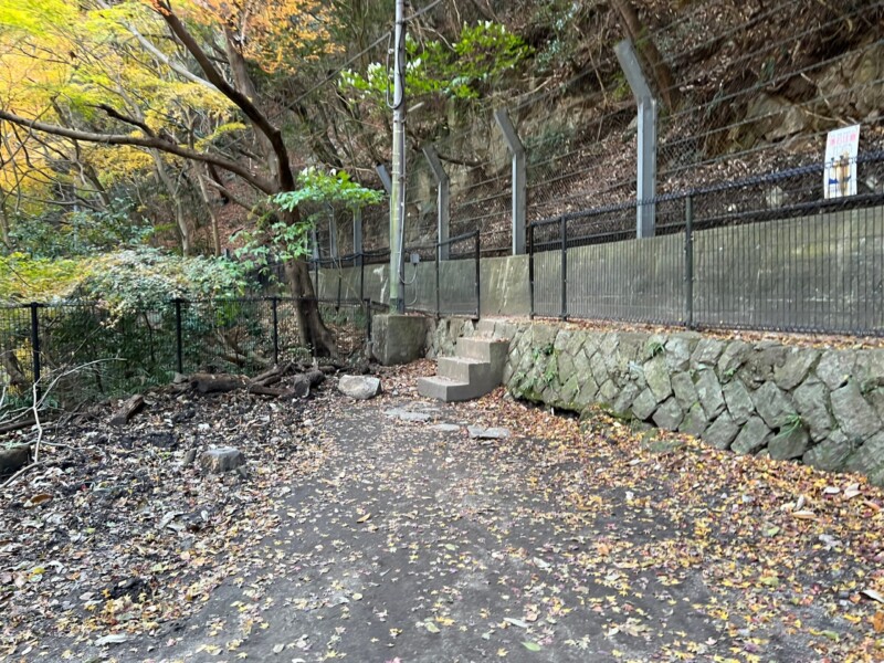 やや階段ウォッチャーとしての1枚